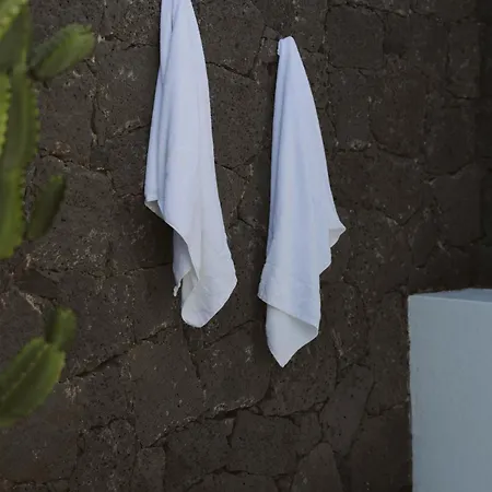 ヴィラ Canaryislandshost I Nativo カレタ・デ・ファマラ