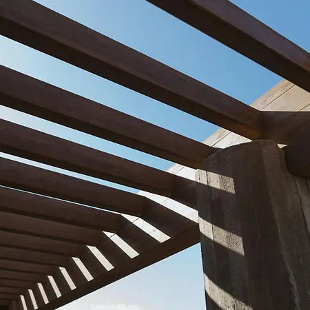 Canaryislandshost I Nativo