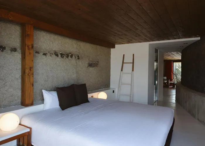 Canaryislandshost I Nativo *