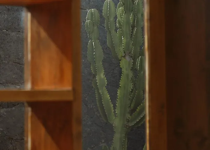 Canaryislandshost I Nativo * Famara