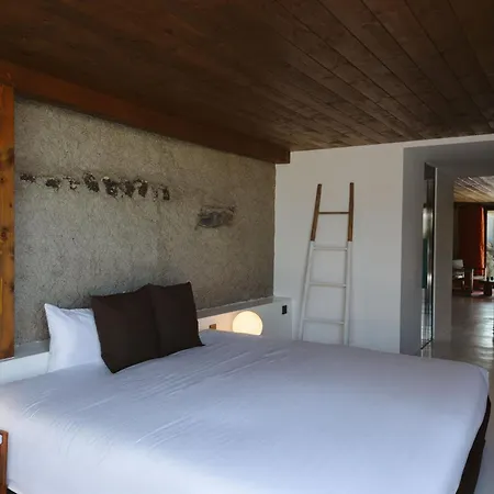 Canaryislandshost I Nativo *