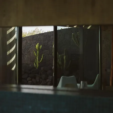 Canaryislandshost I Nativo *