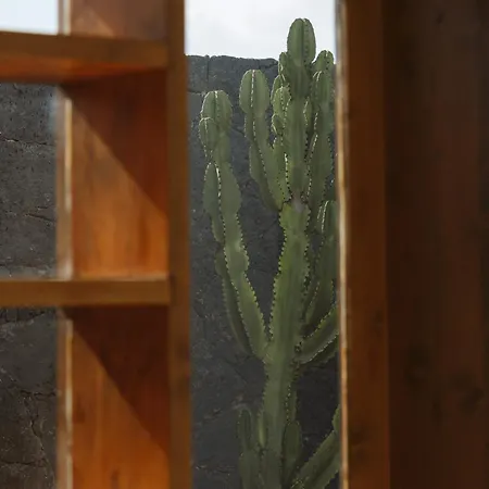 Canaryislandshost I Nativo * Famara