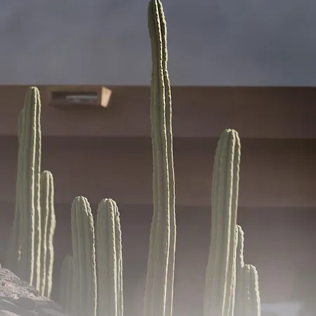 Villa Canaryislandshost I Nativo Famara