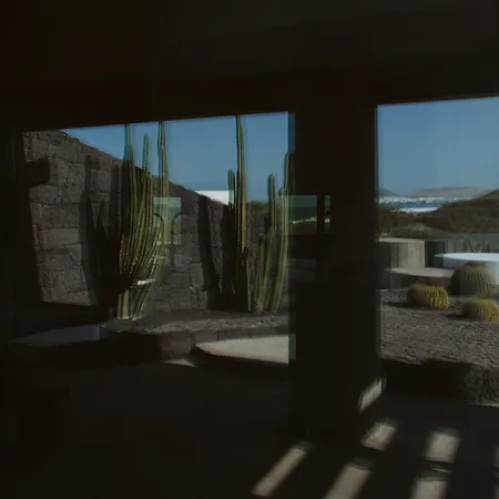 Canaryislandshost I Nativo *