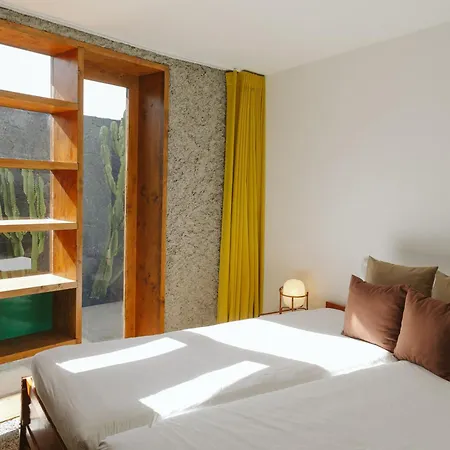 Canaryislandshost I Nativo *