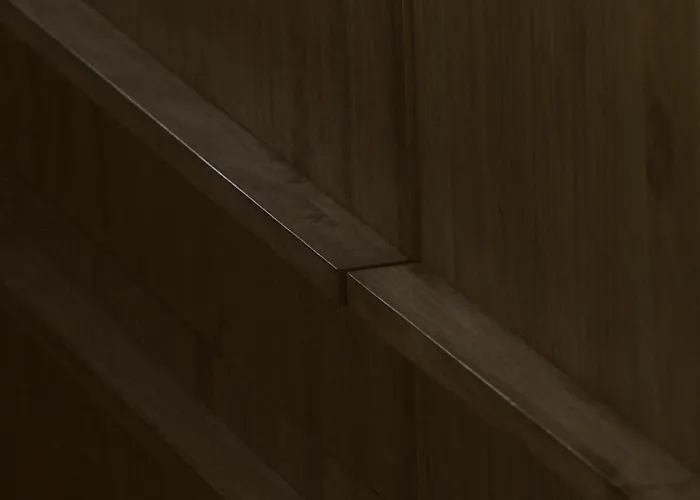 Canaryislandshost I Nativo