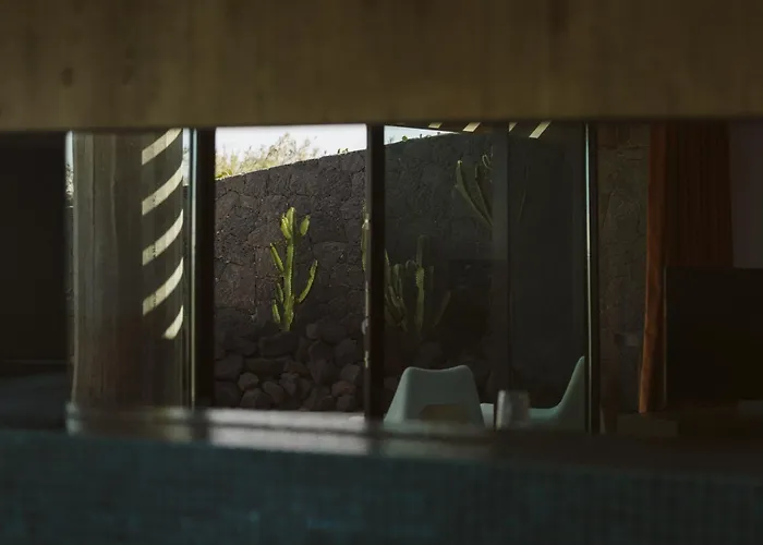 Canaryislandshost I Nativo *