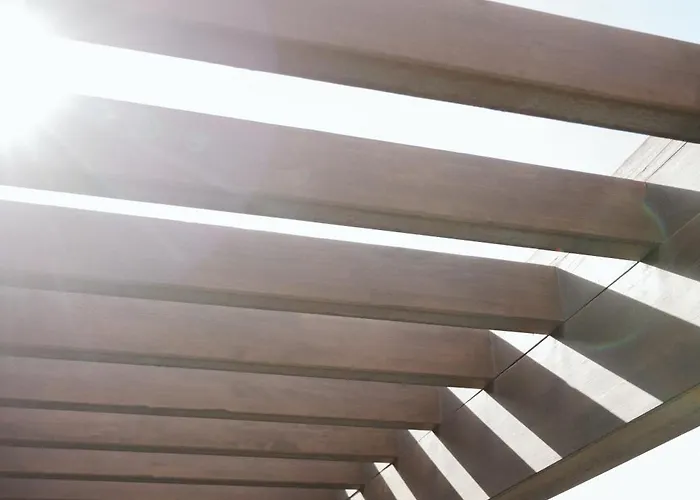 Canaryislandshost I Nativo