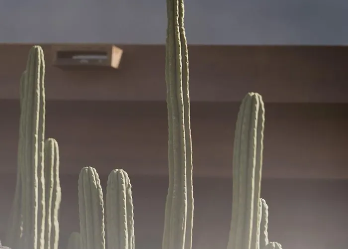 Vila Canaryislandshost I Nativo Famara