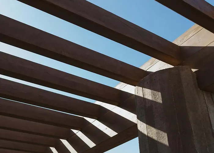 Canaryislandshost I Nativo