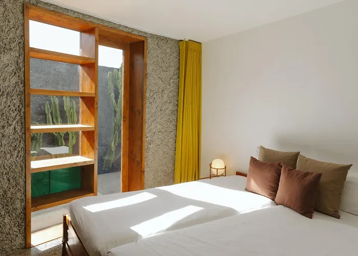 Canaryislandshost I Nativo *