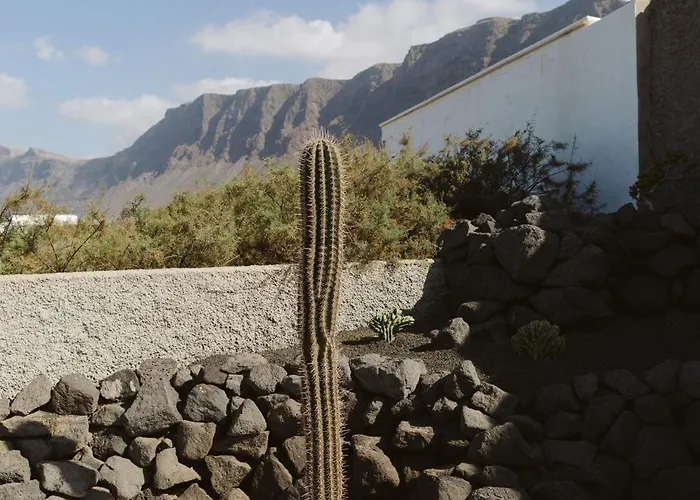 فيلة Canaryislandshost I Nativo *