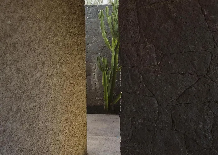 Canaryislandshost I Nativo فامارا