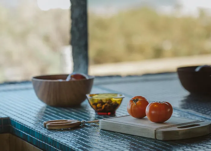 فيلة Canaryislandshost I Nativo فامارا